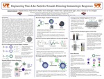 Engineering Virus Like Particles Towards Directing Immunologic Responses