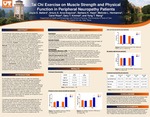 Tai Chi Exercise on Muscle Strength and Physical Function in Peripheral Neuropathy Patients by Joyce E. Ballard, Arturo A. Arce-Esquivel, Barbara K. Haas, Melinda Hermanns, Carol Rizer, Gary T. Kimmel, and Yong T. Wang