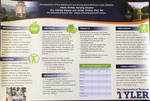Development of the Adolescent and Young Adult Wellness Scale (AYAWS) by Alexis Arrieta, Christy Gipson, and Jennifer Chilton