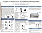Manipulation of Virus-Like Particles for the Purpose of Optimizing Immunostimulation