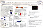 Investigating Programming of a Virus Like Particle for Cell Specific Chemotherapy by Savannah Seely and Dustin P. Patterson